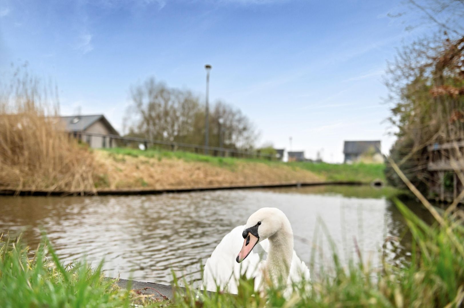 Oranjerie 6, Rijswijk foto-52