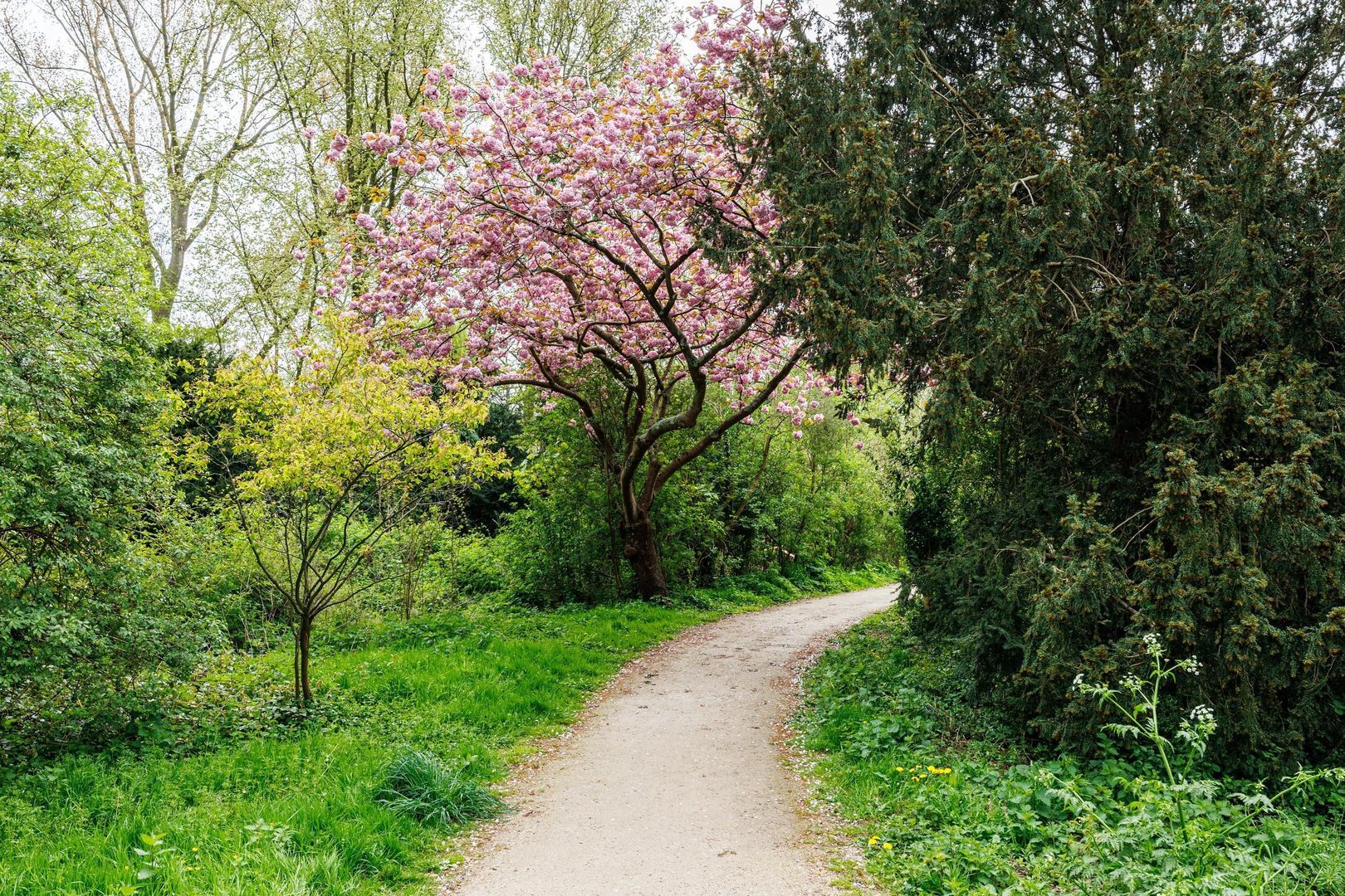 Tak van Poortvlietstraat 8, Delft foto-37