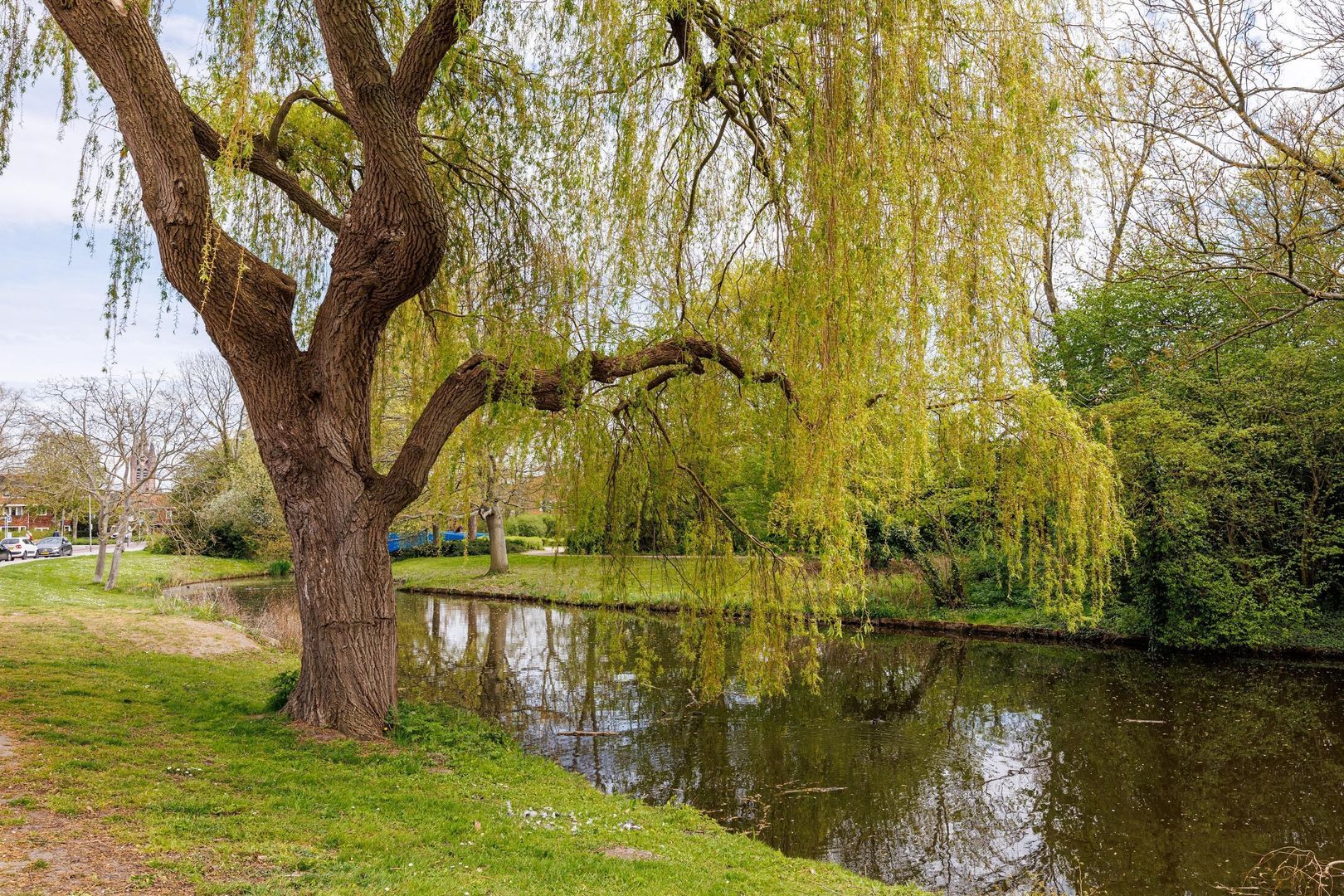 Tak van Poortvlietstraat 8, Delft foto-38