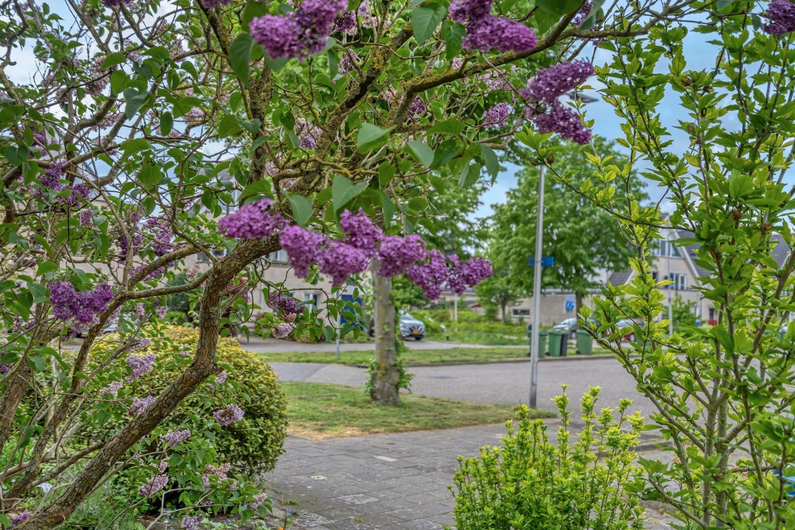 Voorhaven 13, Den Hoorn foto-19