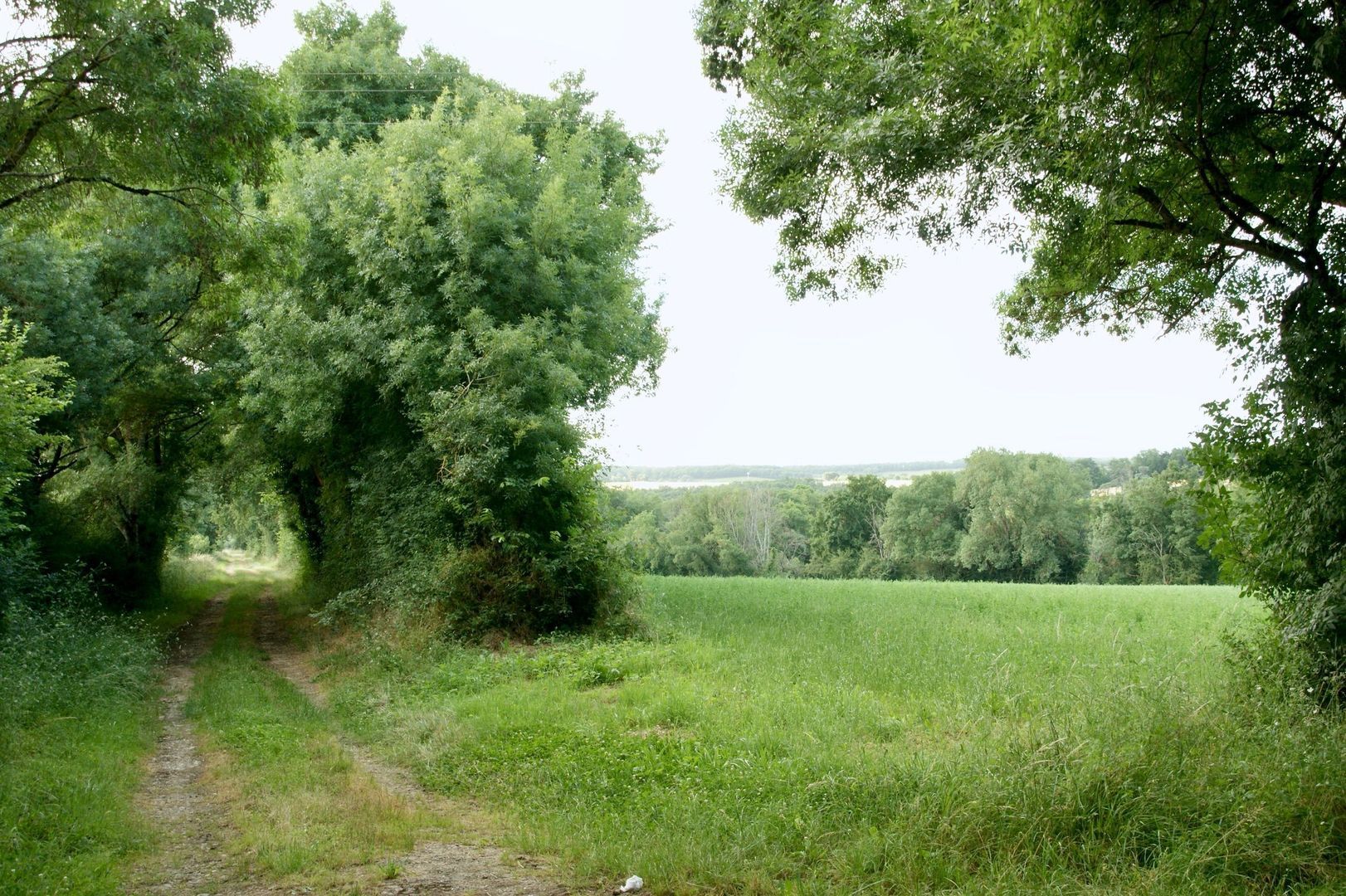 Chemin du Bachale, Jegun, Gers foto-90