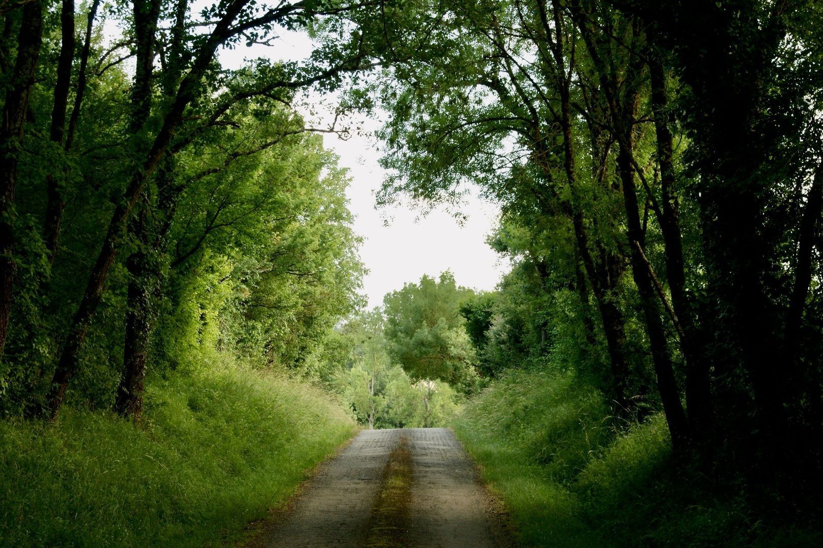 Chemin du Bachale, Jegun, Gers foto-89