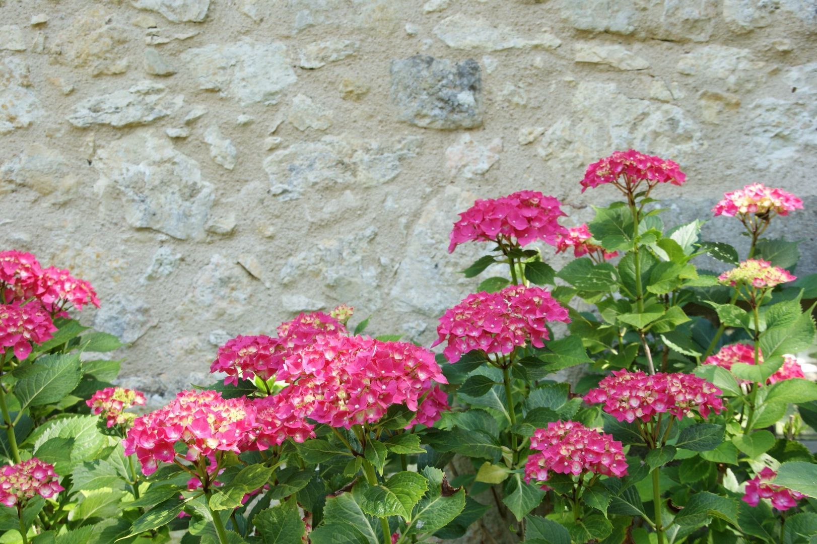 Chemin du Bachale, Jegun, Gers foto-11