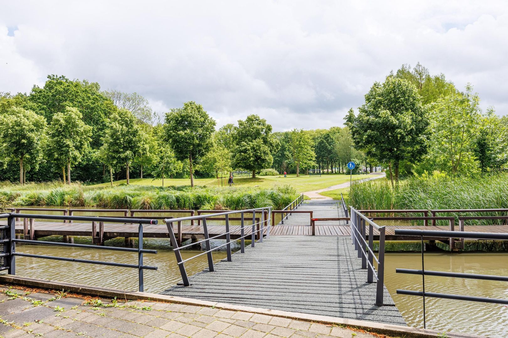 Parkzoom 233, Delft foto-32