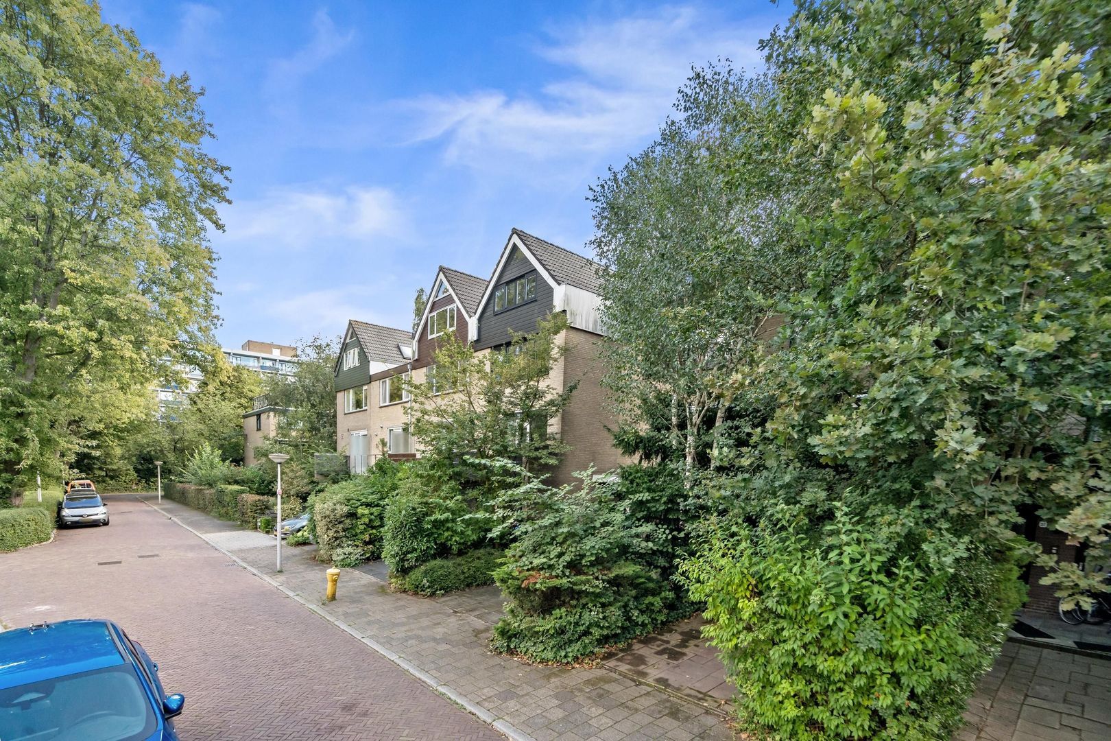 Antoon Coolenlaan 33, Delft foto-1