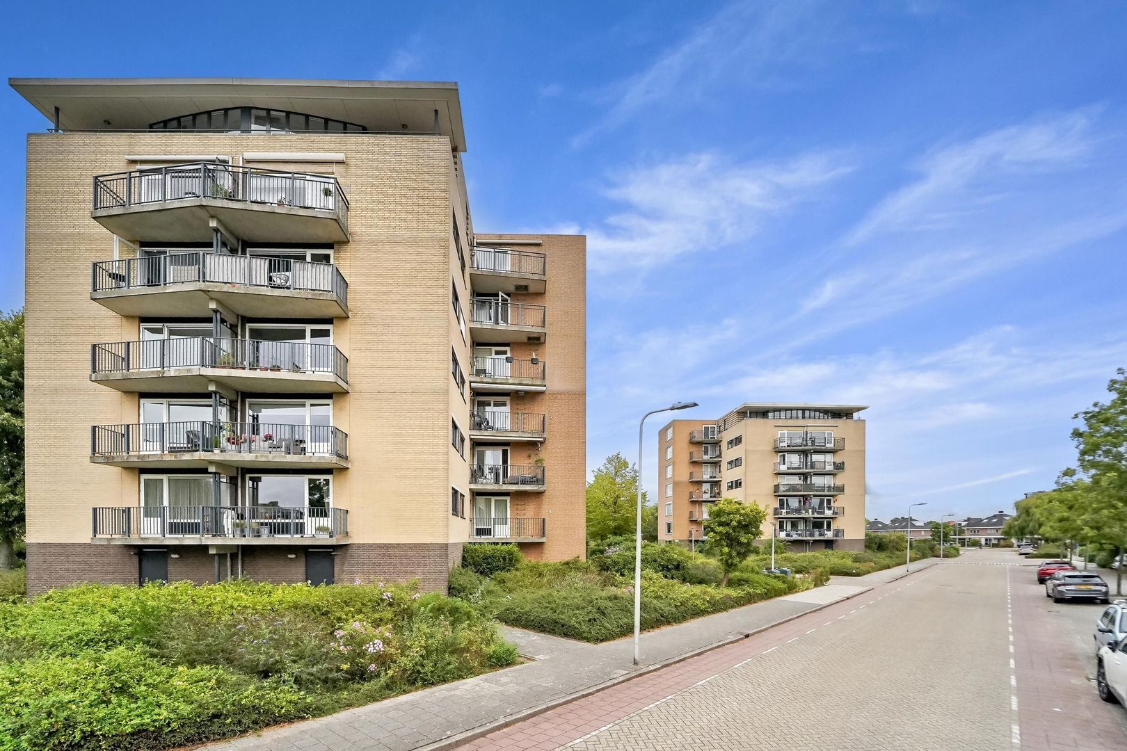 Zwanebloem 4, Den Hoorn foto-1