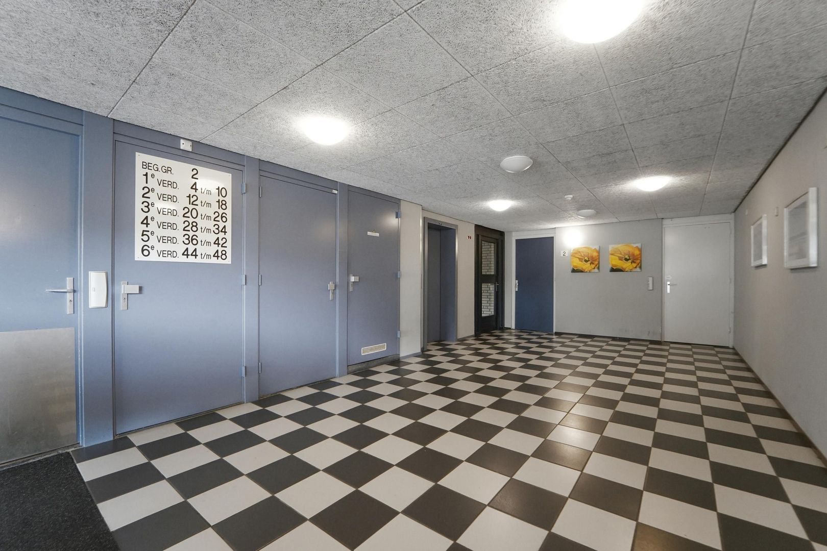 Zwanebloem 4, Den Hoorn foto-7