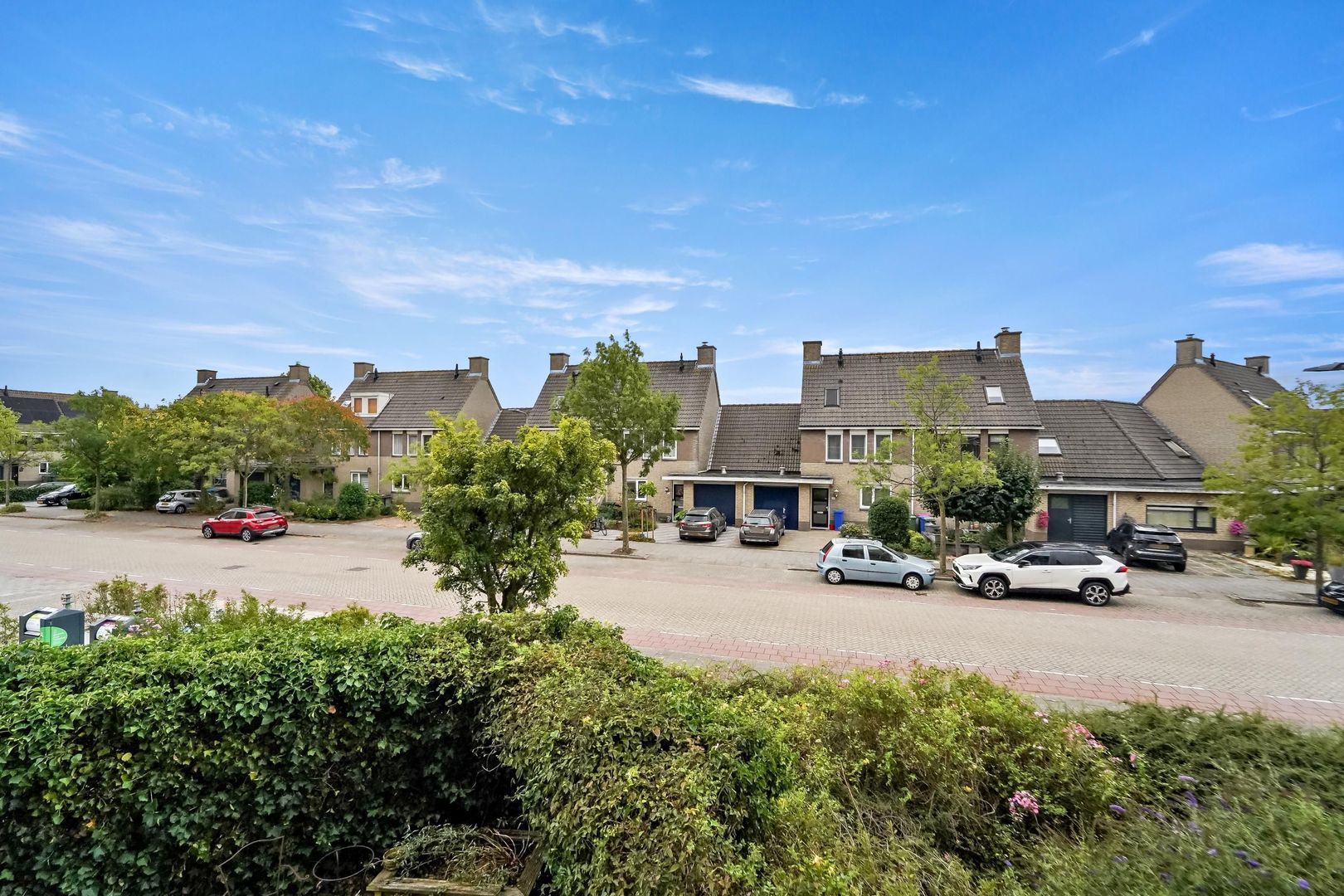 Zwanebloem 4, Den Hoorn foto-20