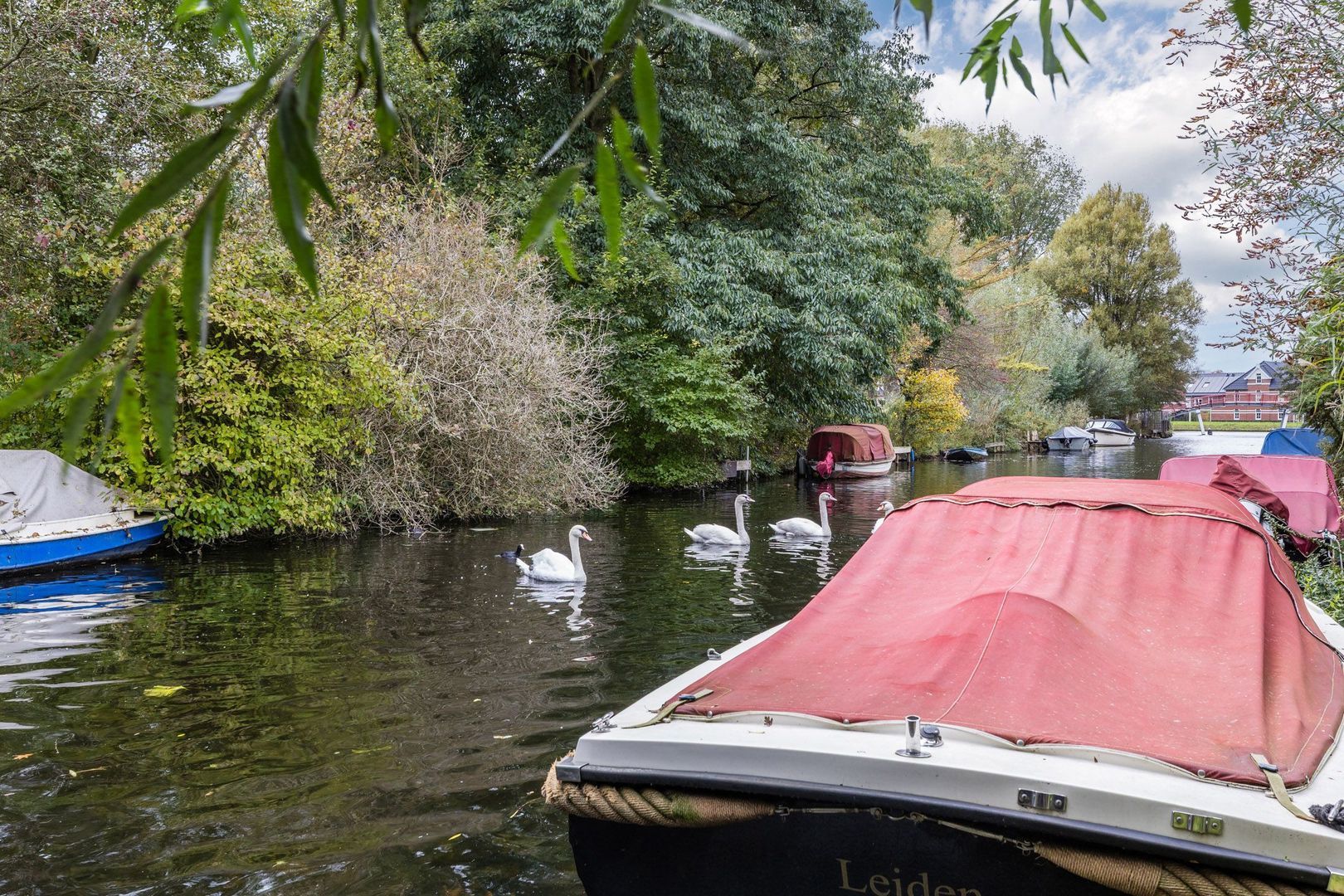 Duke Ellingtonstraat 54, Leiden foto-2