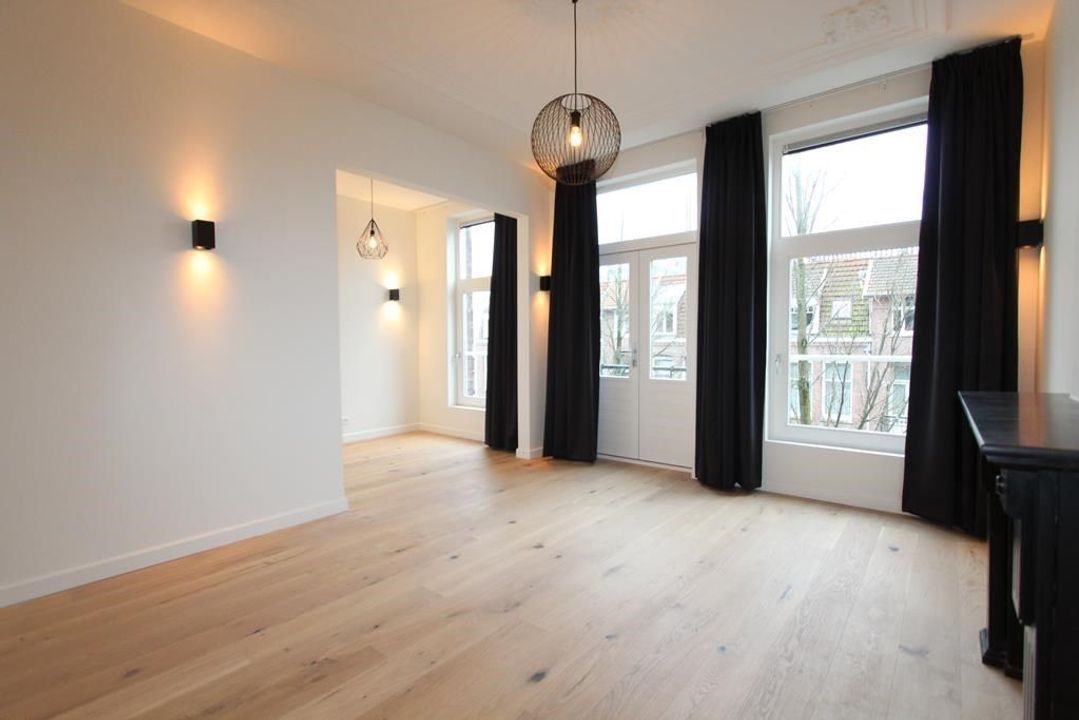 Frans van Mierisstraat
