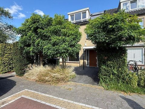 Tigris, Amstelveen