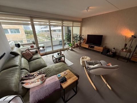 Spadinalaan, Amsterdam