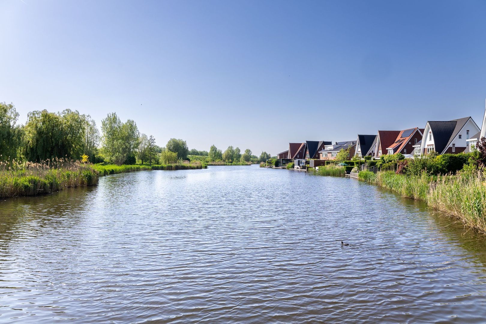 Norbertijnenlaan 68, Alphen Aan Den Rijn foto-48 blur