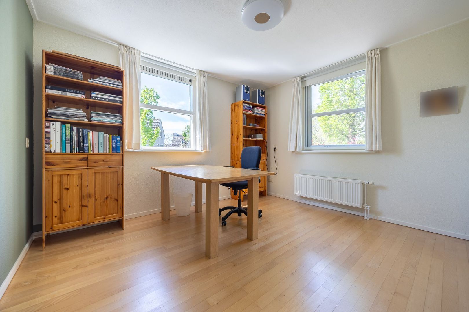 Standaardmolen 1, Alphen Aan Den Rijn foto-19 blur