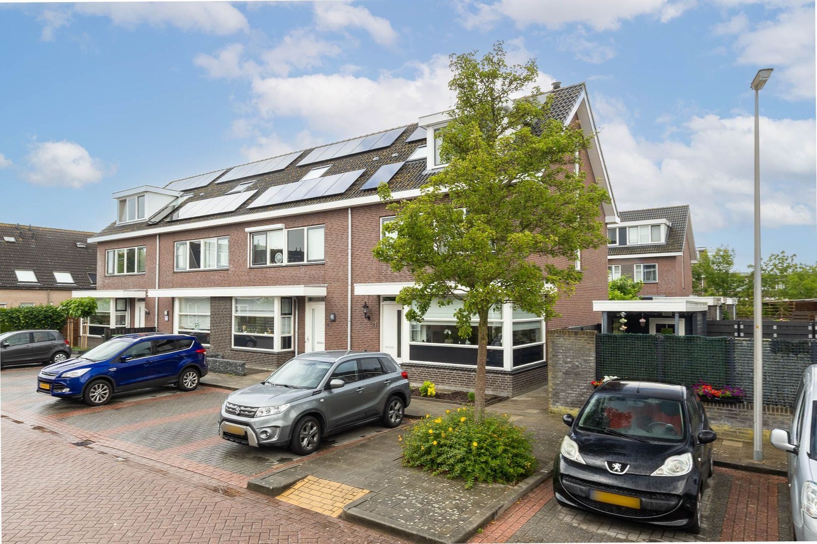 Witte Kwikstaart 21, Zevenhoven foto-25 blur