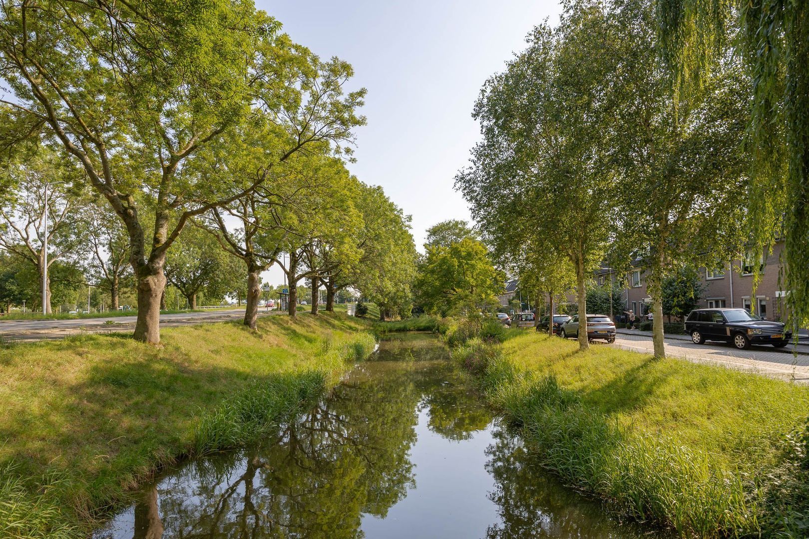 Rosmolen 4, Alphen Aan Den Rijn foto-30 blur