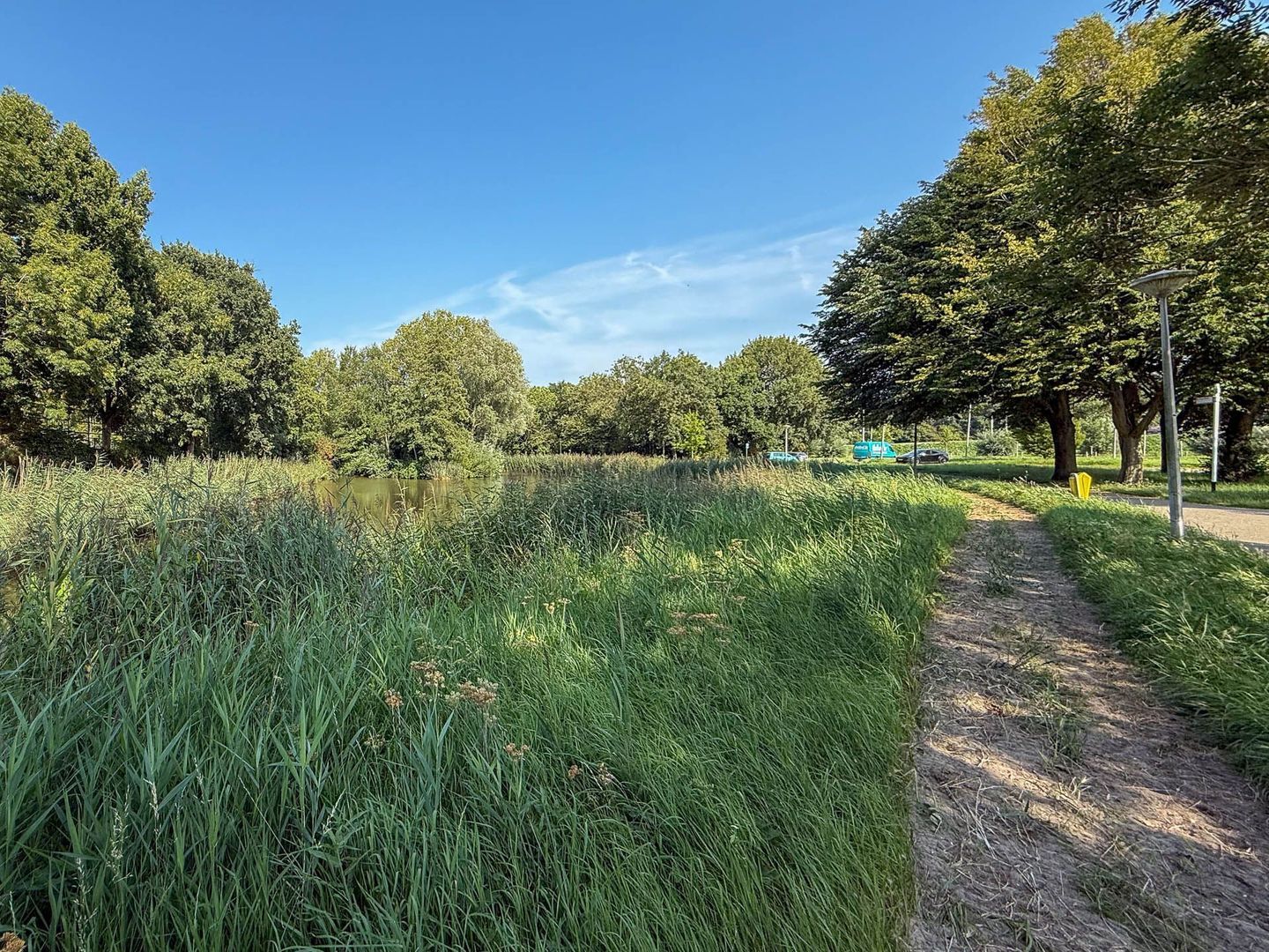 Rosmolen 4, Alphen Aan Den Rijn foto-38 blur