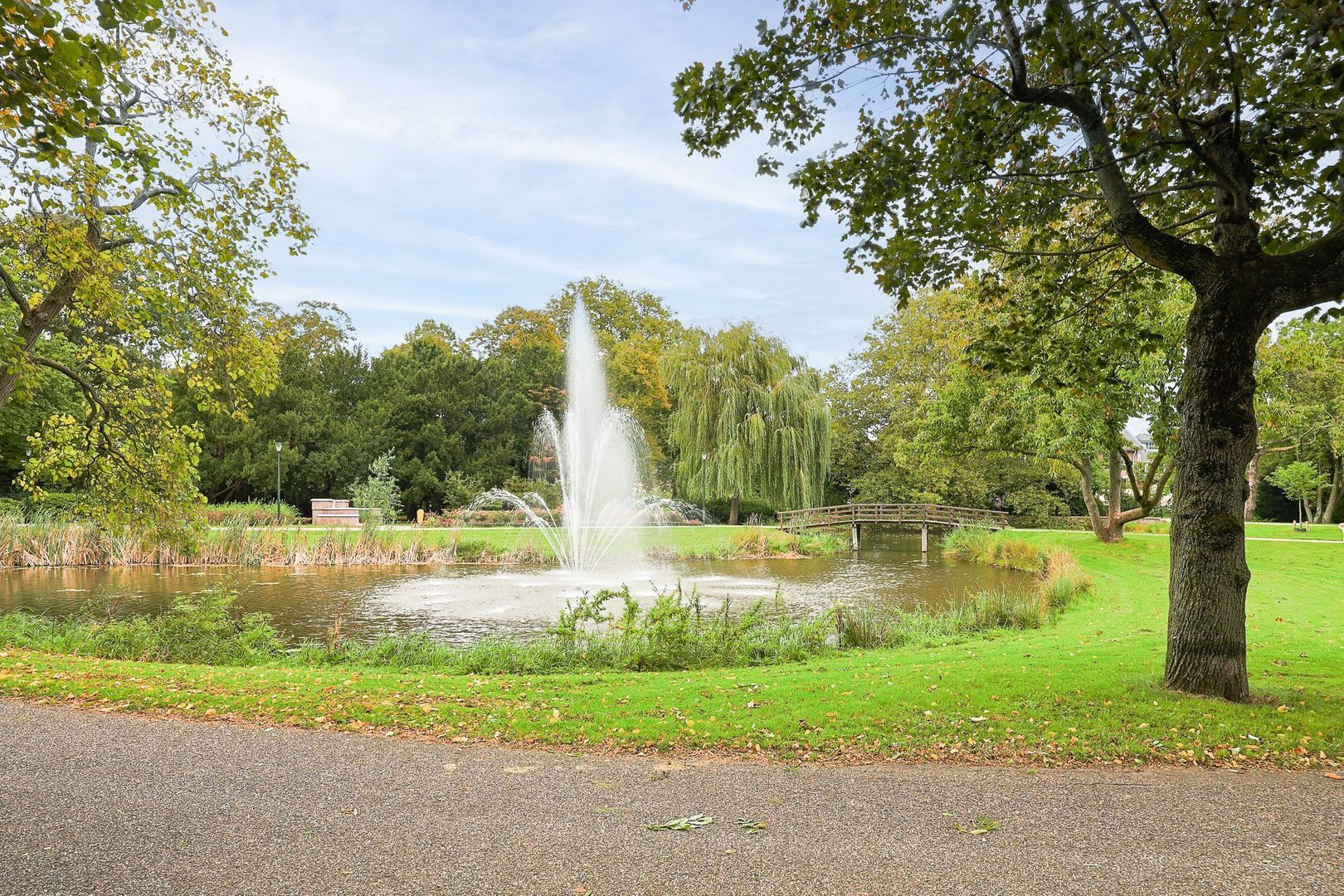 Rosmolen 4, Alphen Aan Den Rijn foto-37 blur