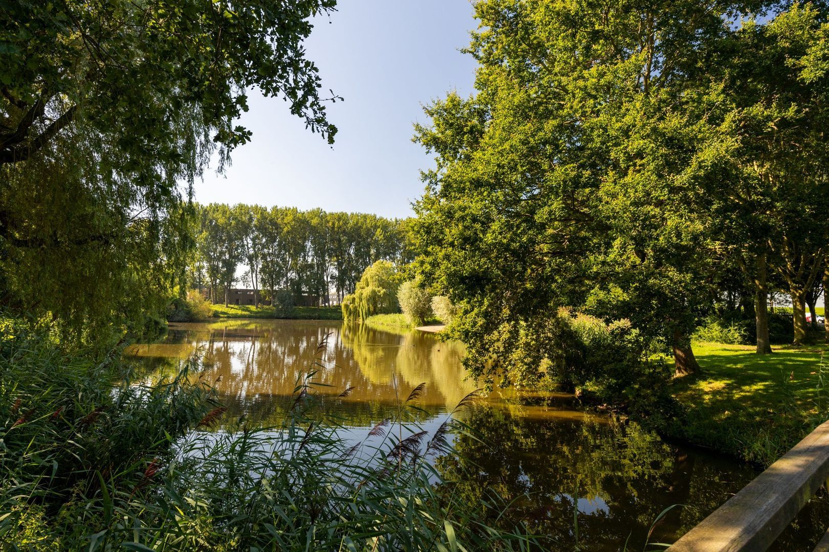 Jeltje de Bosch Kemperstraat 213, Alphen Aan Den Rijn foto-36 blur