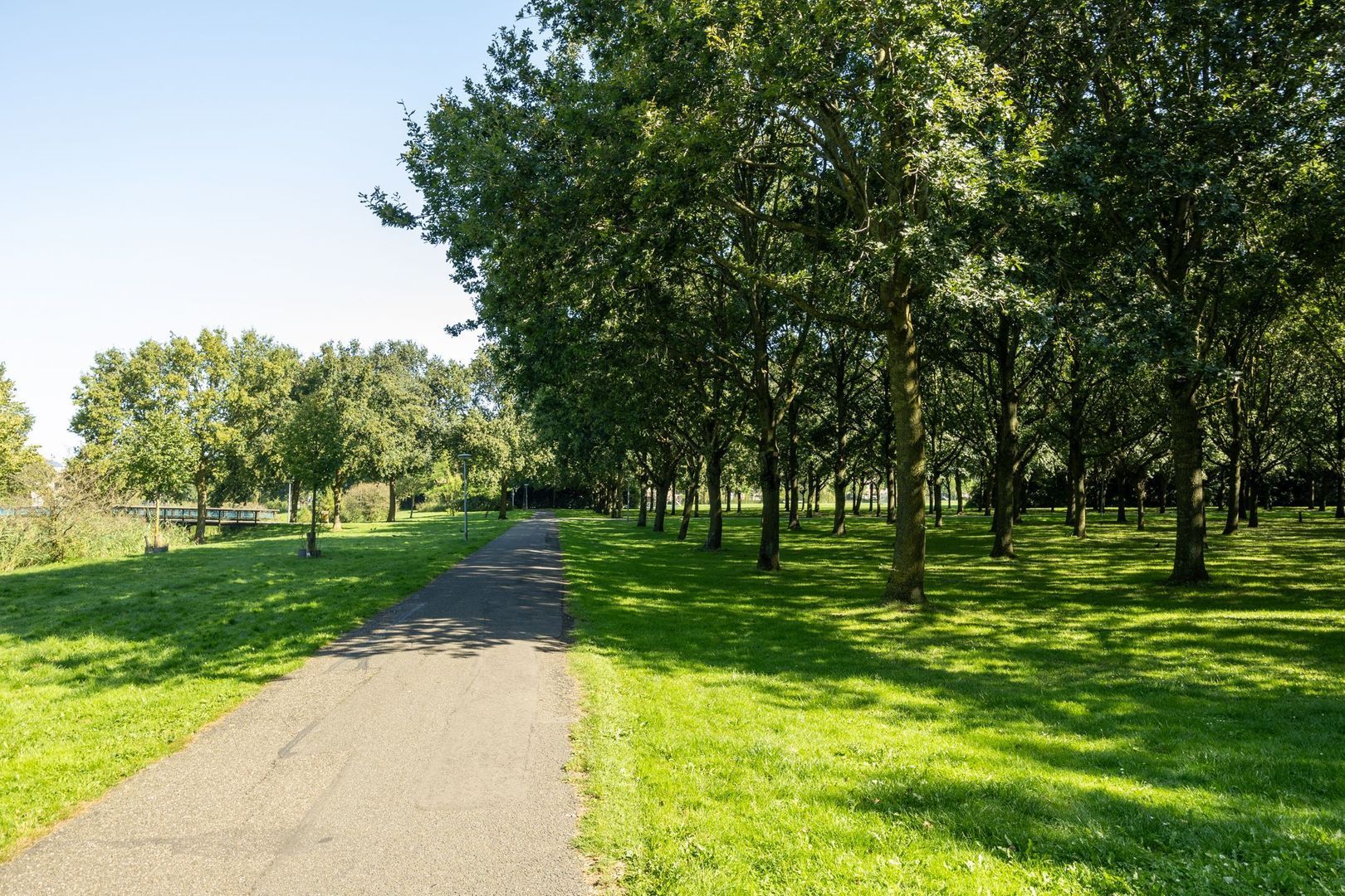 Jeltje de Bosch Kemperstraat 213, Alphen Aan Den Rijn foto-37 blur