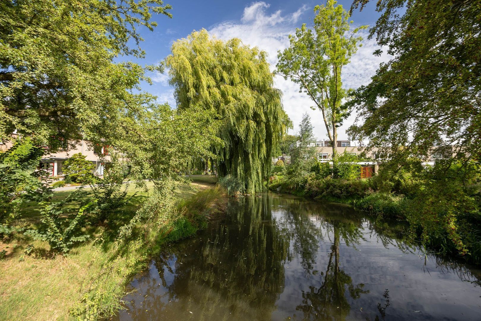 Groenoord 245, Alphen Aan Den Rijn foto-34 blur