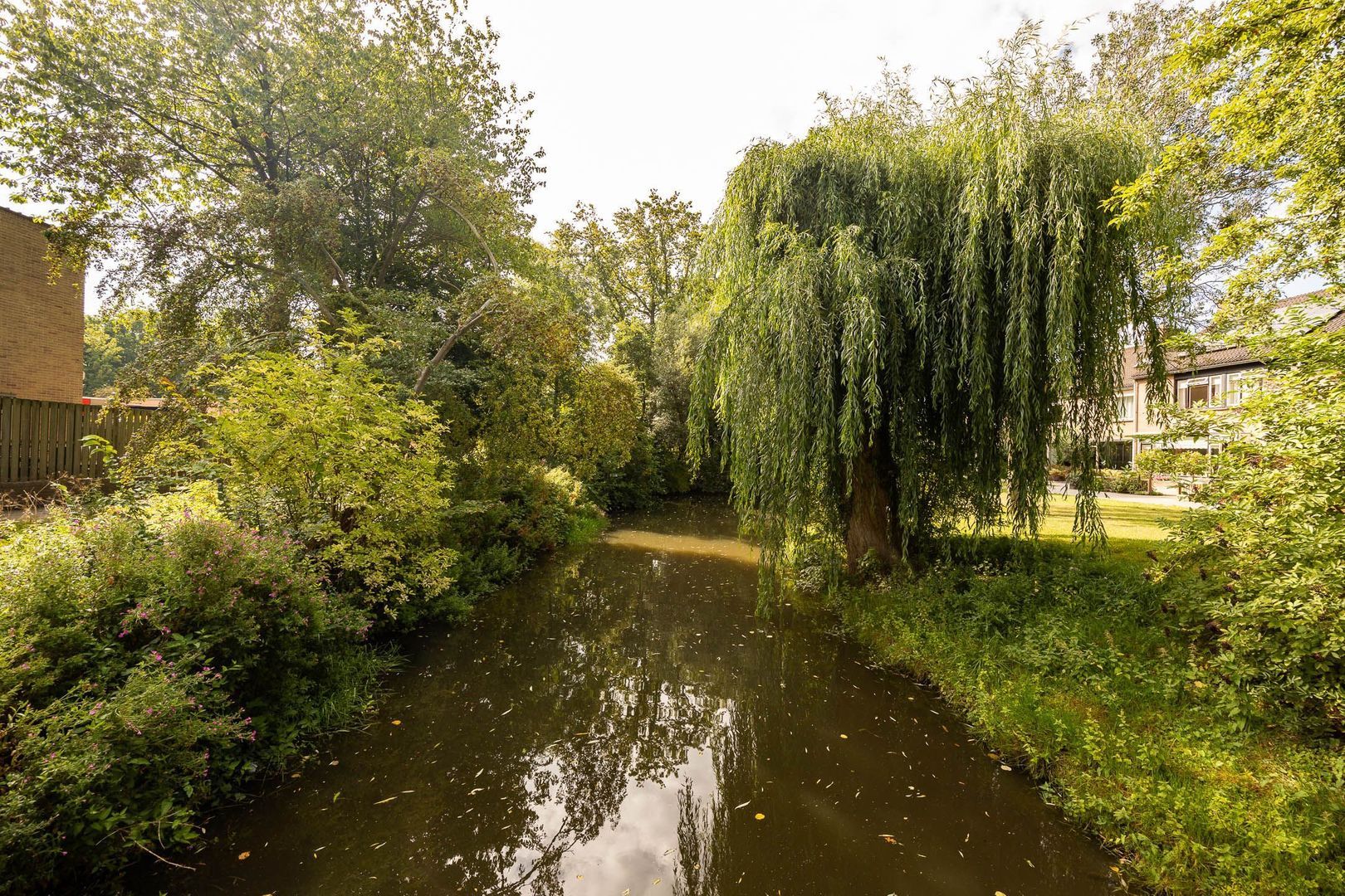 Groenoord 245, Alphen Aan Den Rijn foto-35 blur