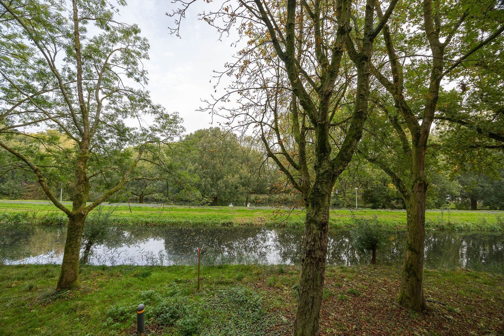 Lauwers 148, Alphen Aan Den Rijn foto-14 blur
