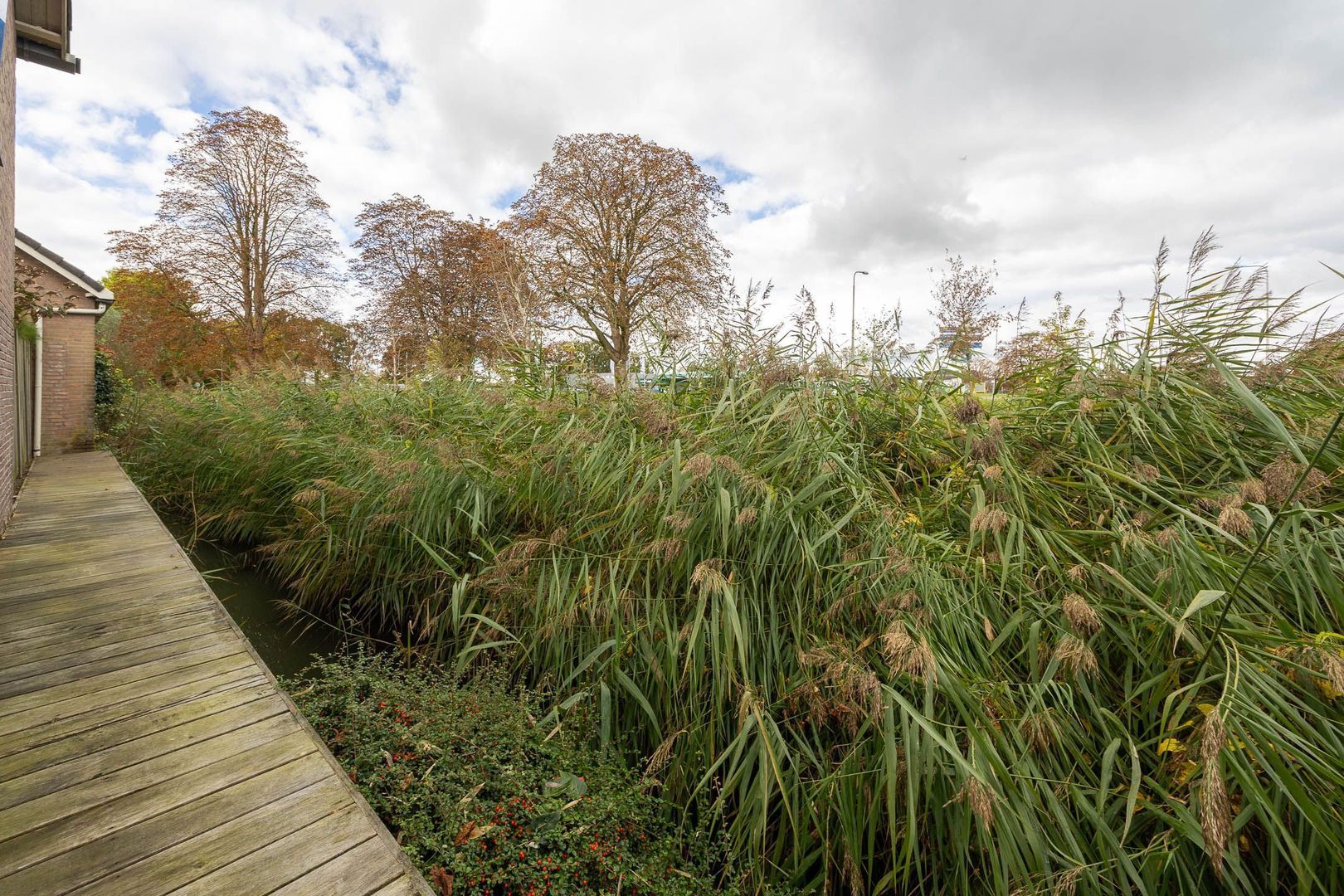 Sperwerstraat 17, Nieuwkoop foto-22 blur