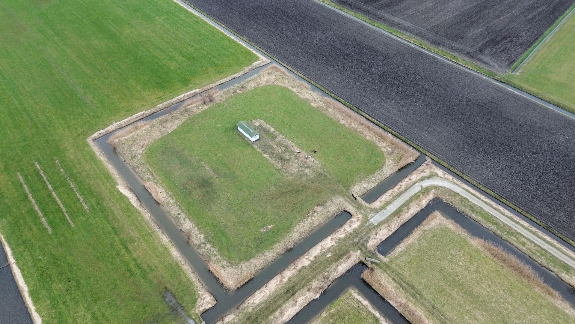 Graskade 0 ong, Ter Aar foto-12 blur