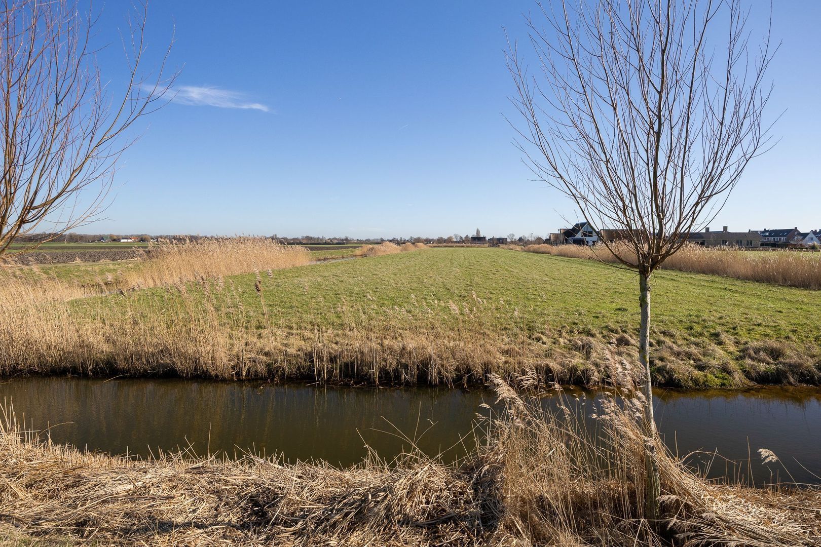 Graskade 0 ong, Ter Aar foto-4 blur