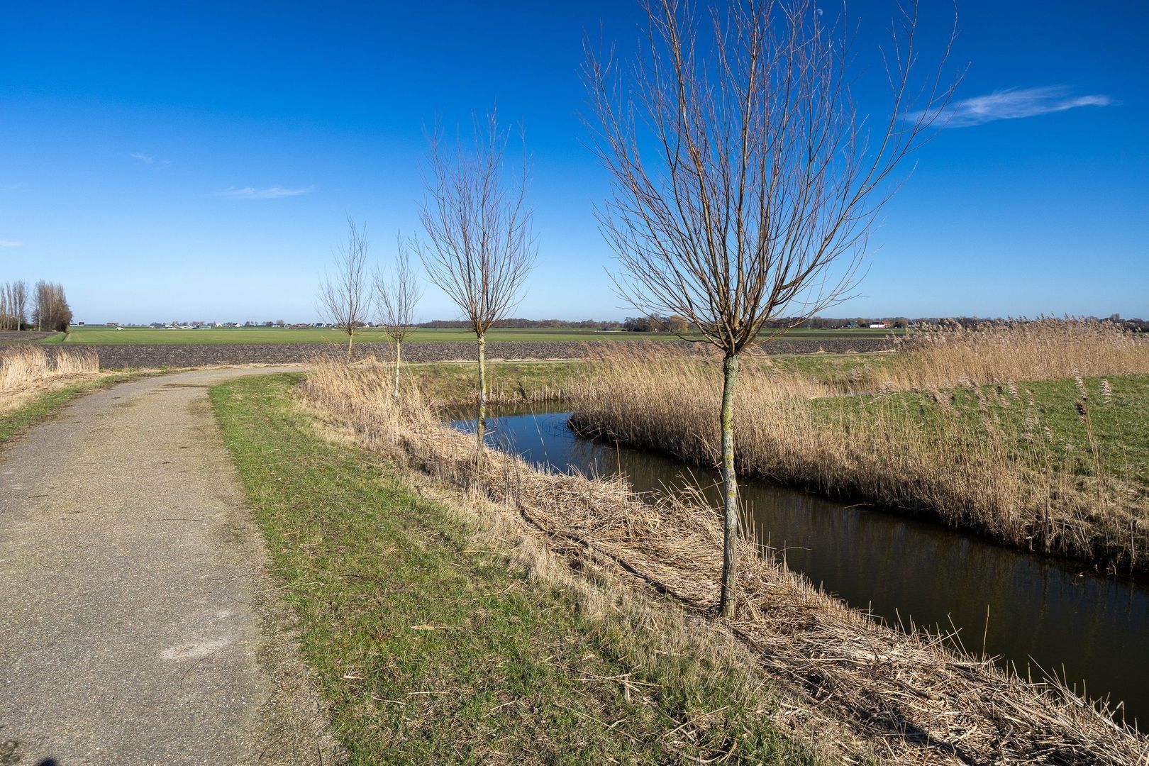 Graskade 0 ong, Ter Aar foto-11 blur