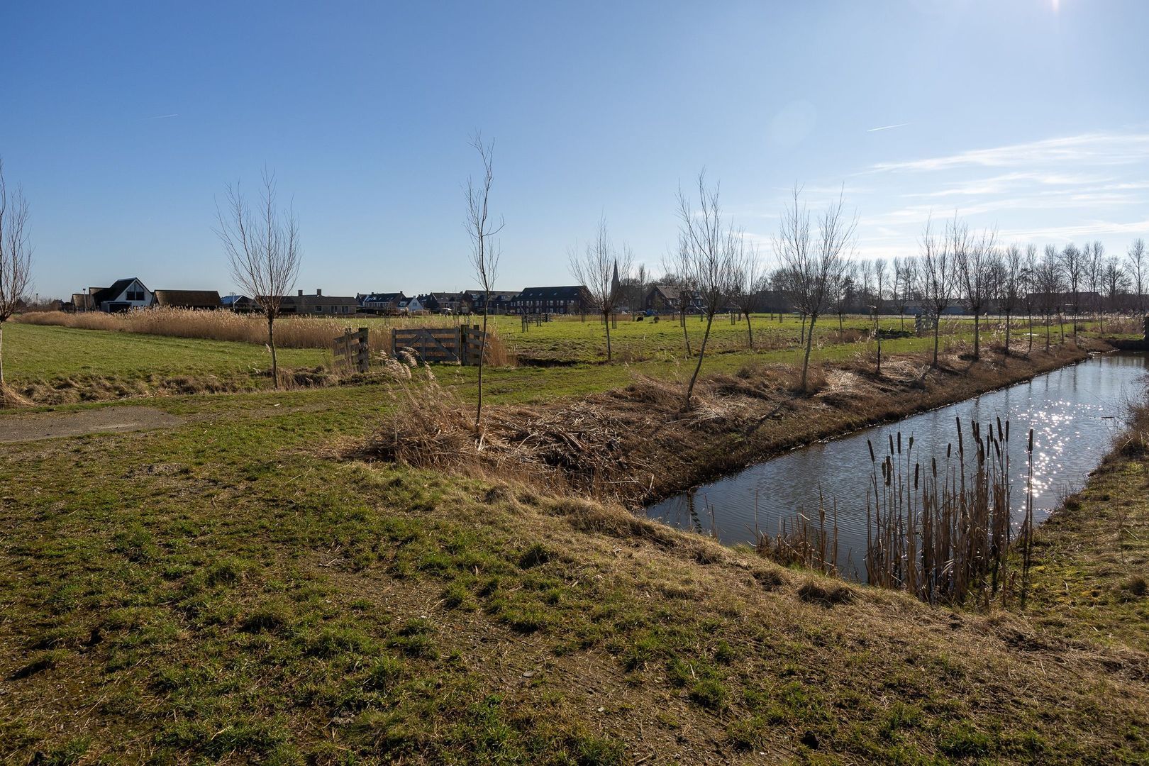 Graskade 0 ong, Ter Aar foto-3 blur