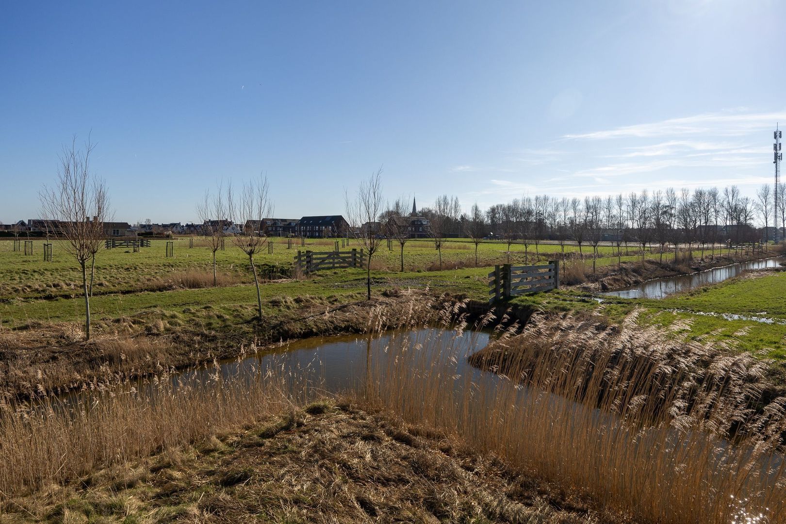 Graskade 0 ong, Ter Aar foto-5 blur