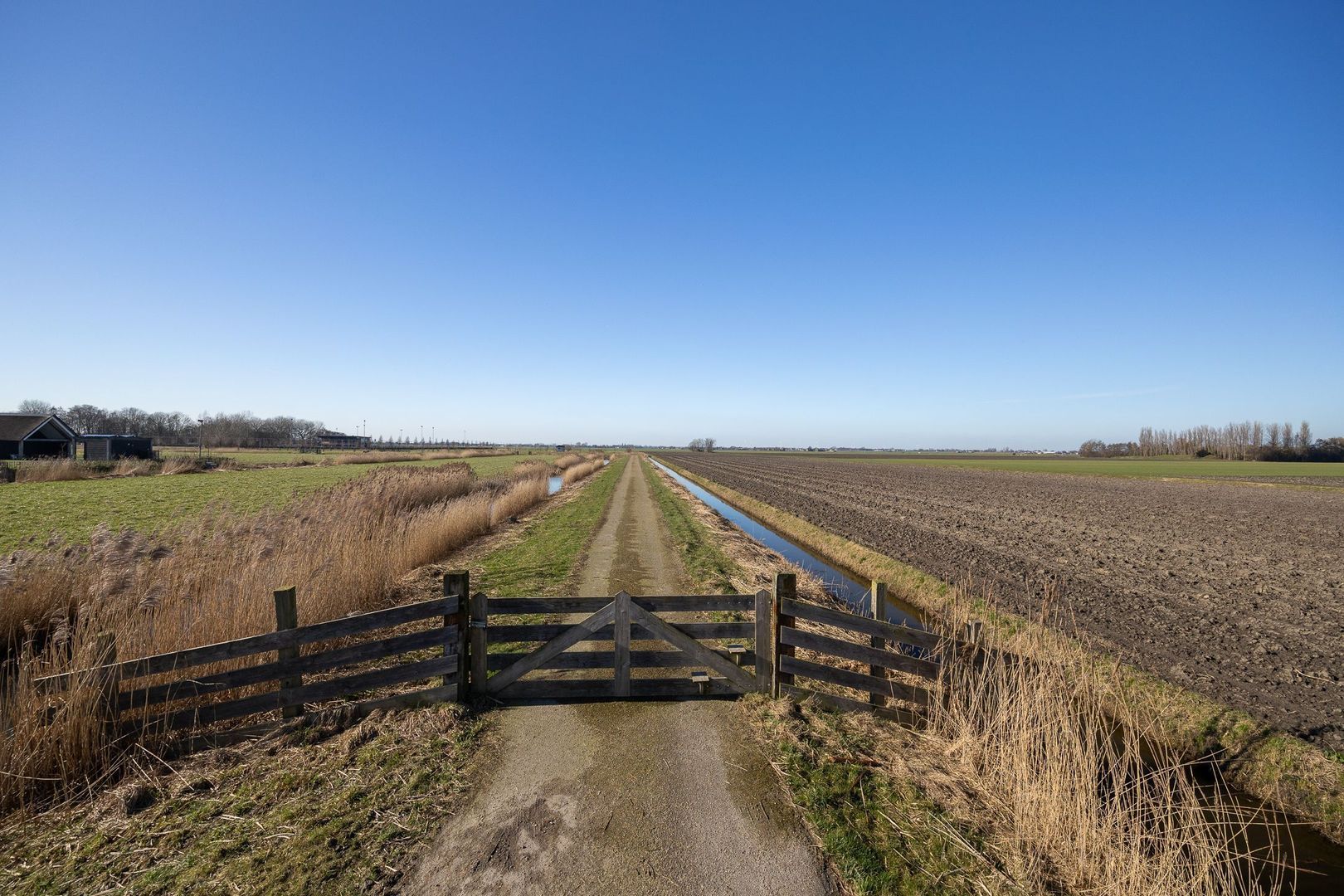 Graskade 0 ong, Ter Aar foto-14 blur