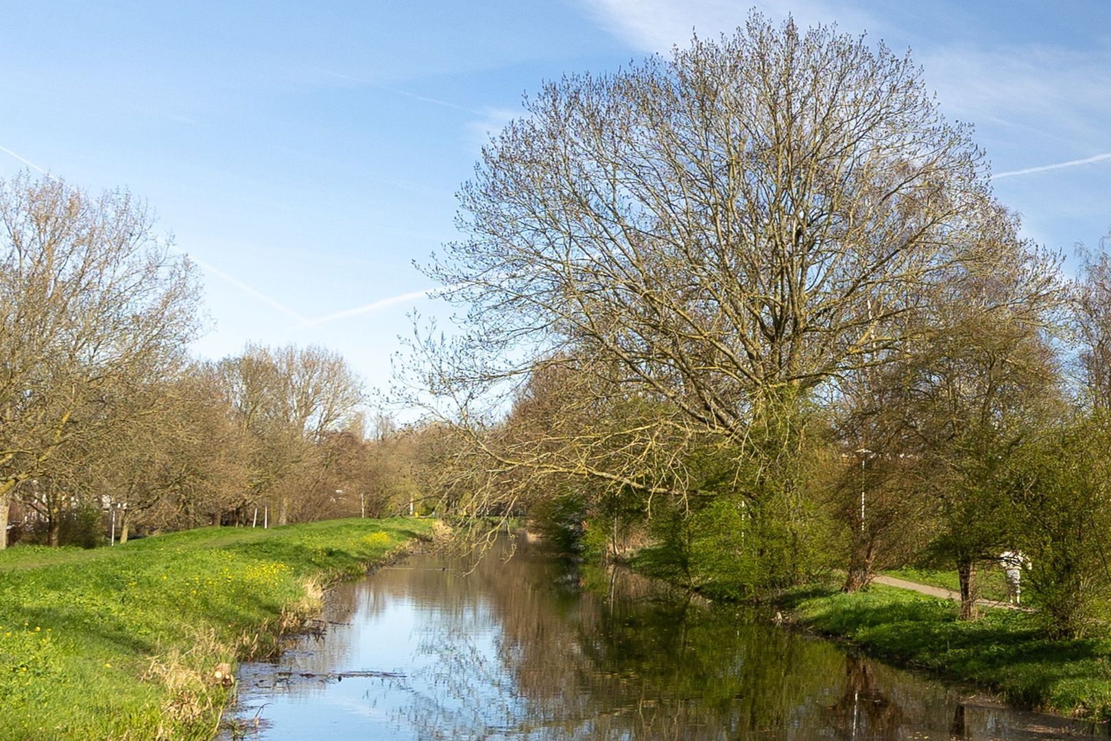Korenbloemweg 1, Alphen Aan Den Rijn foto-23 blur