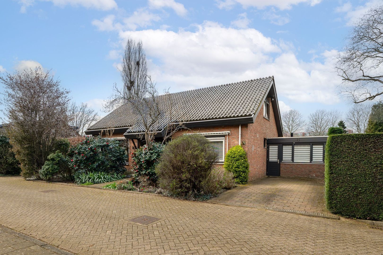 Ericapark 37, Alphen Aan Den Rijn foto-34 blur