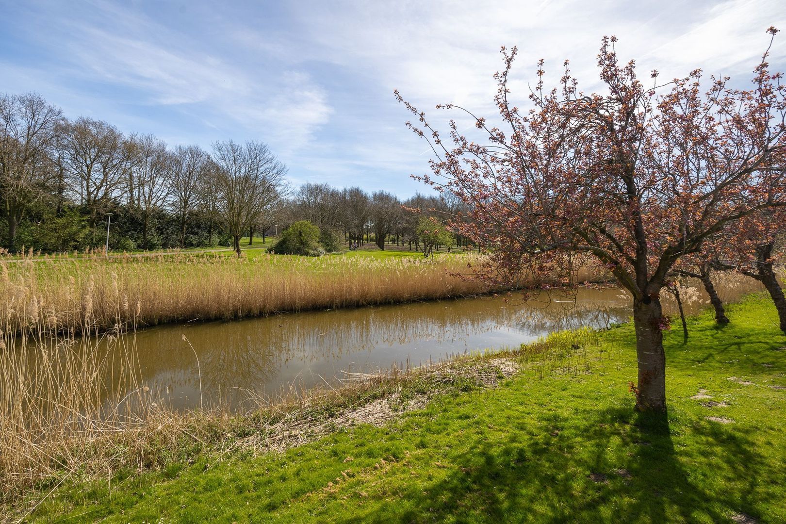 Windjammer 26, Alphen Aan Den Rijn foto-38 blur