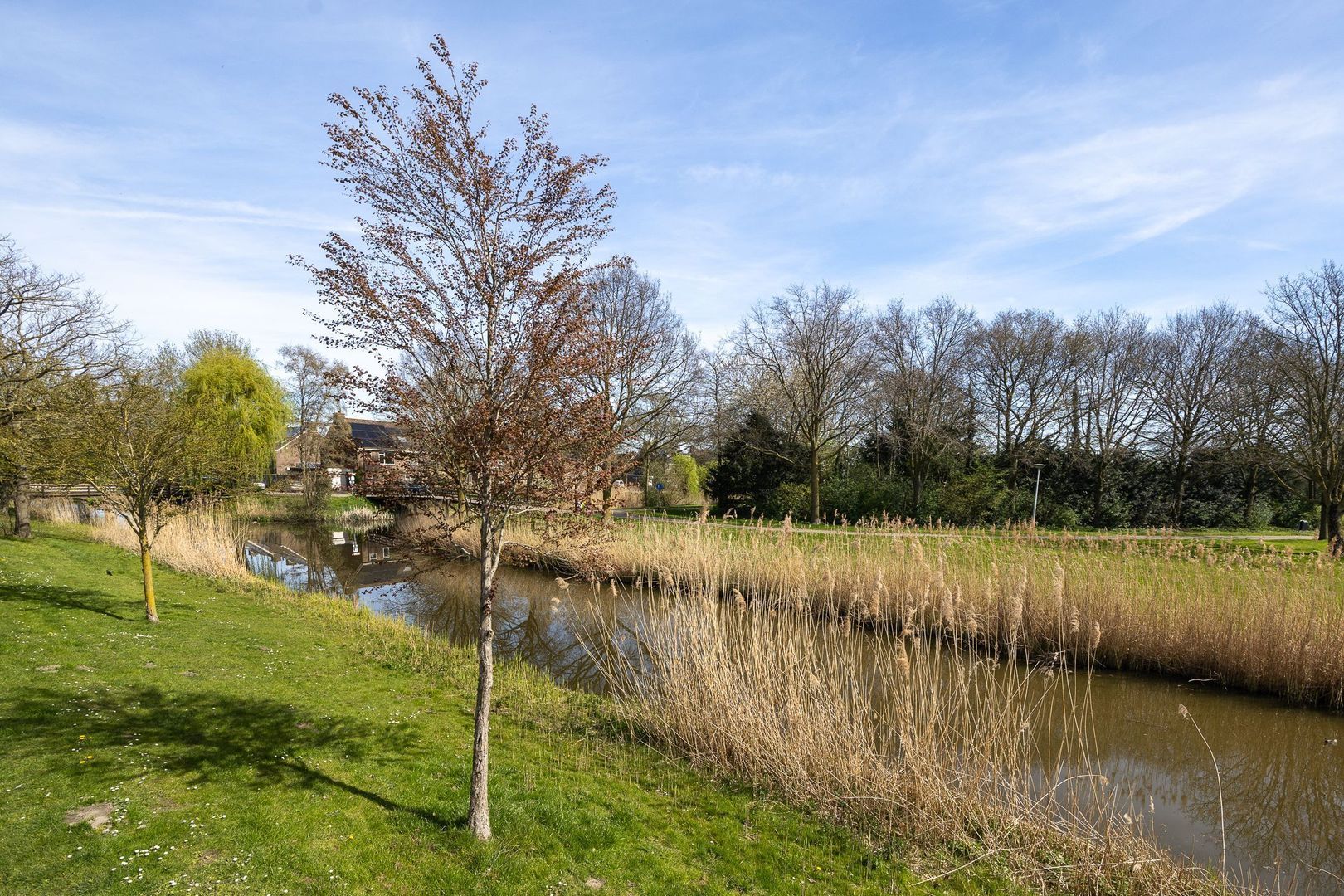 Windjammer 26, Alphen Aan Den Rijn foto-1 blur