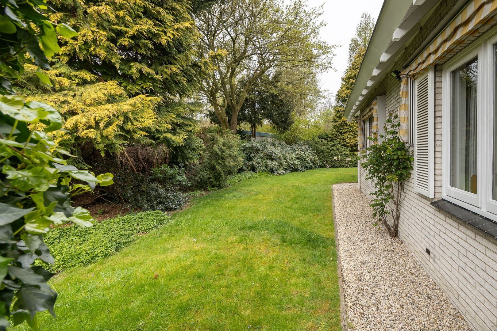 Trasmolen 3, Alphen Aan Den Rijn foto-28 blur