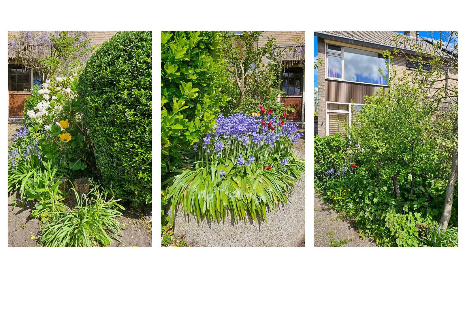 Vierambachtsstraat 34, Ter Aar foto-27 blur