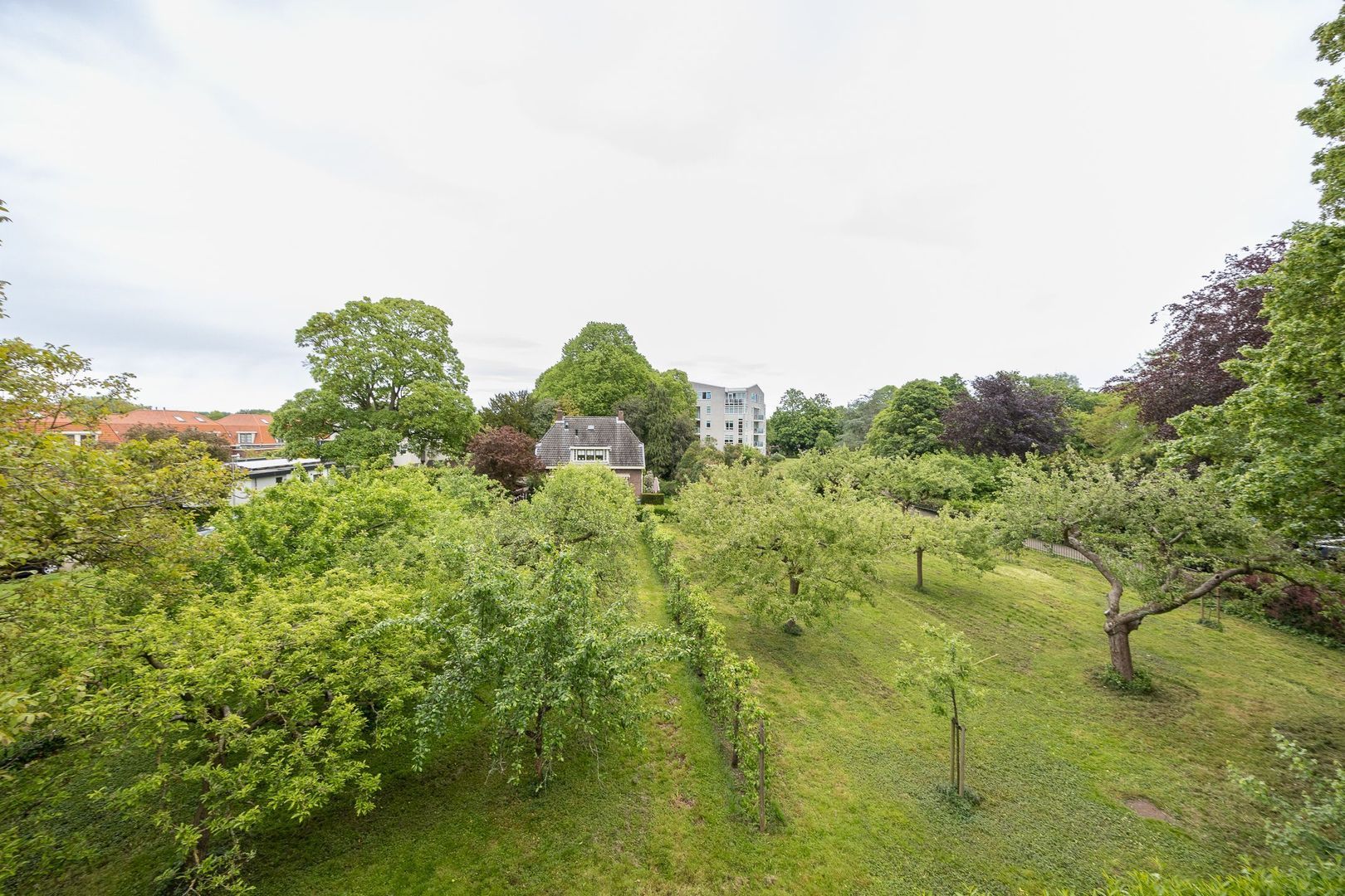 W.M. Offringalaan 28, Alphen Aan Den Rijn foto-18 blur