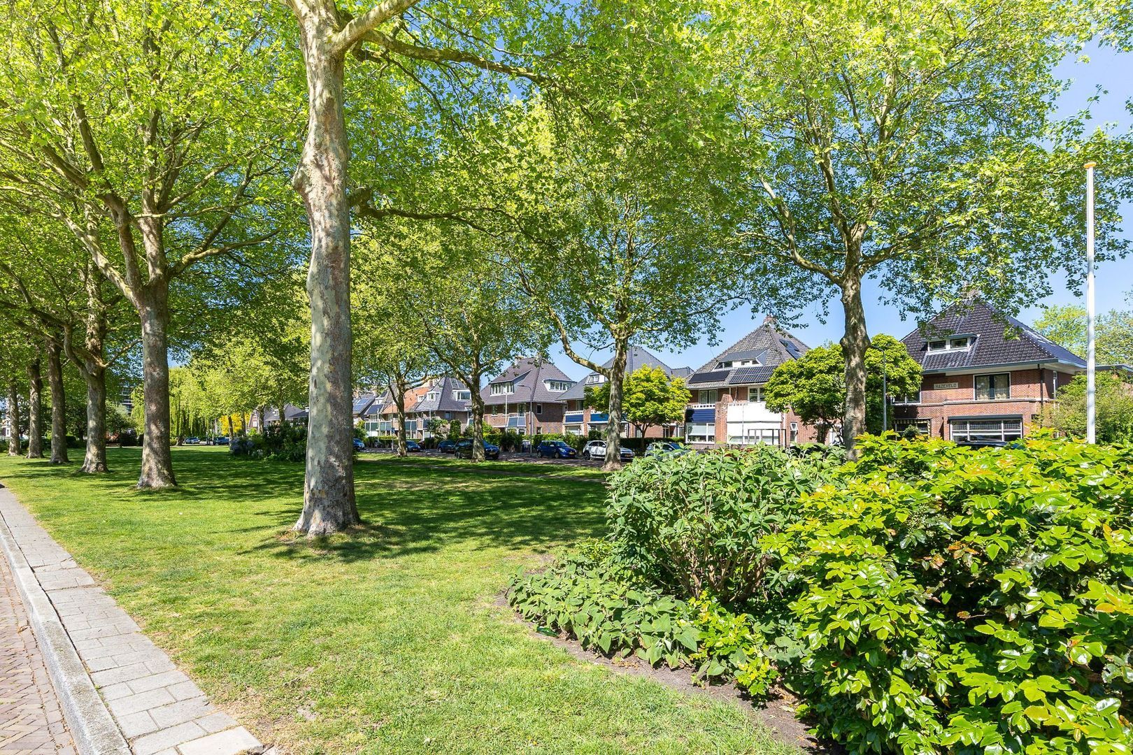 Prins Hendrikstraat 77, Alphen Aan Den Rijn foto-32 blur