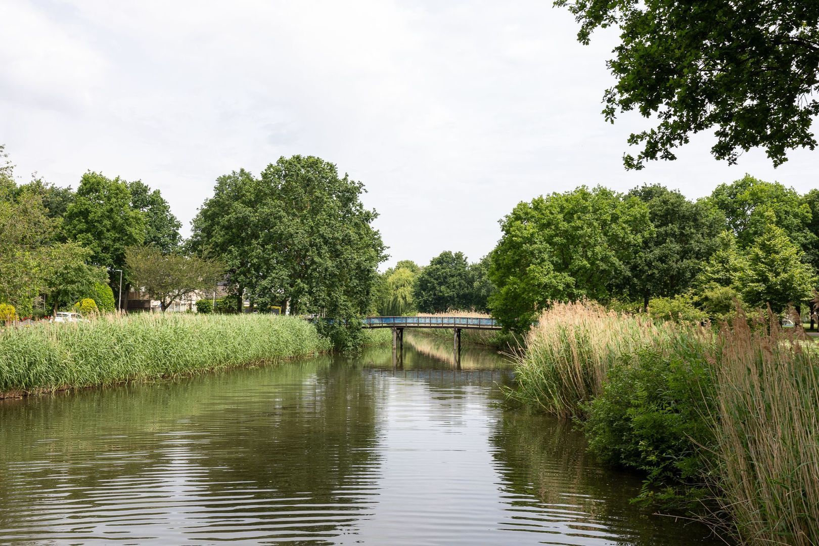 Galjoen 7, Alphen Aan Den Rijn foto-45 blur