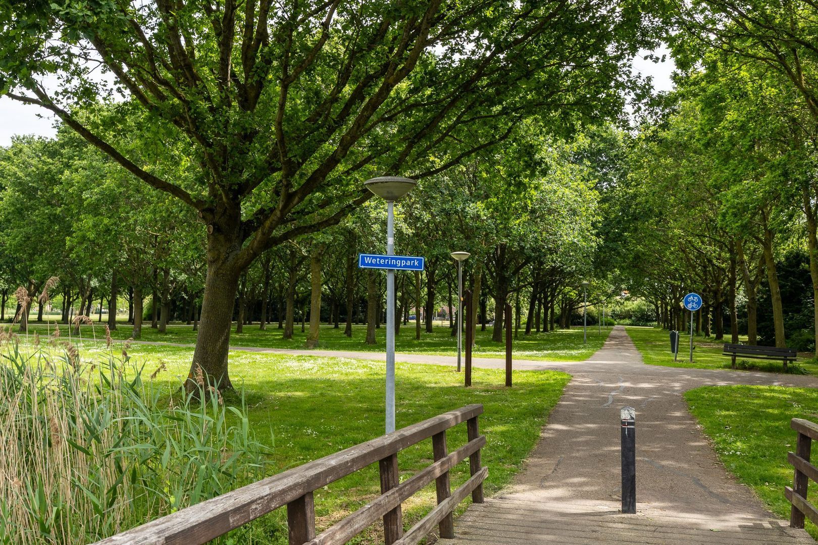 Galjoen 7, Alphen Aan Den Rijn foto-46 blur