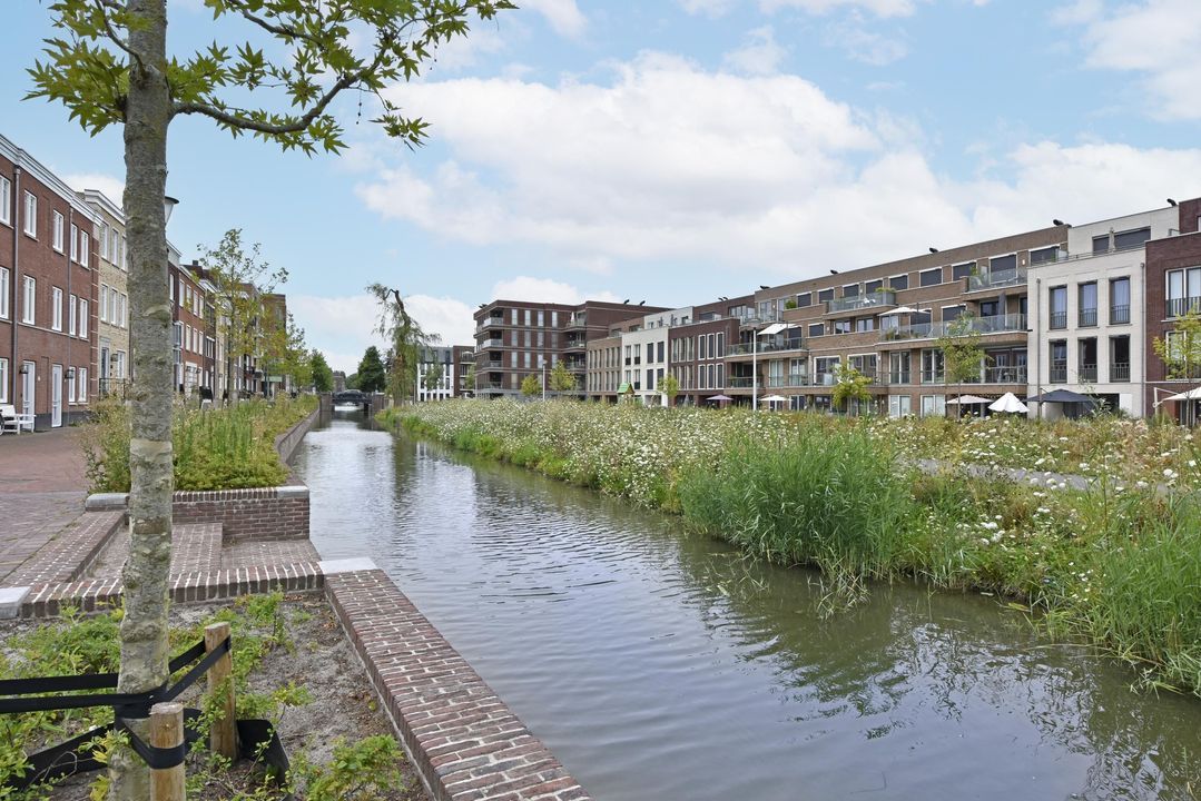 Koolmeesstraat 56, Alphen Aan Den Rijn