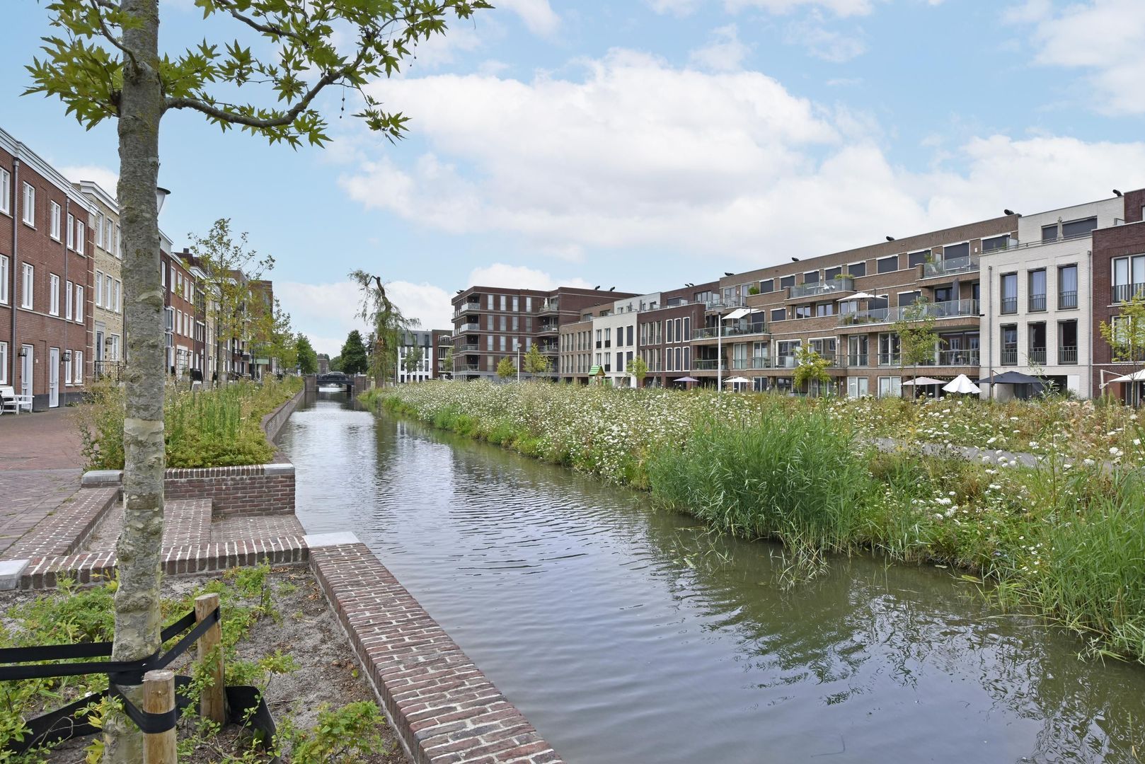Koolmeesstraat 56, Alphen Aan Den Rijn foto-28 blur