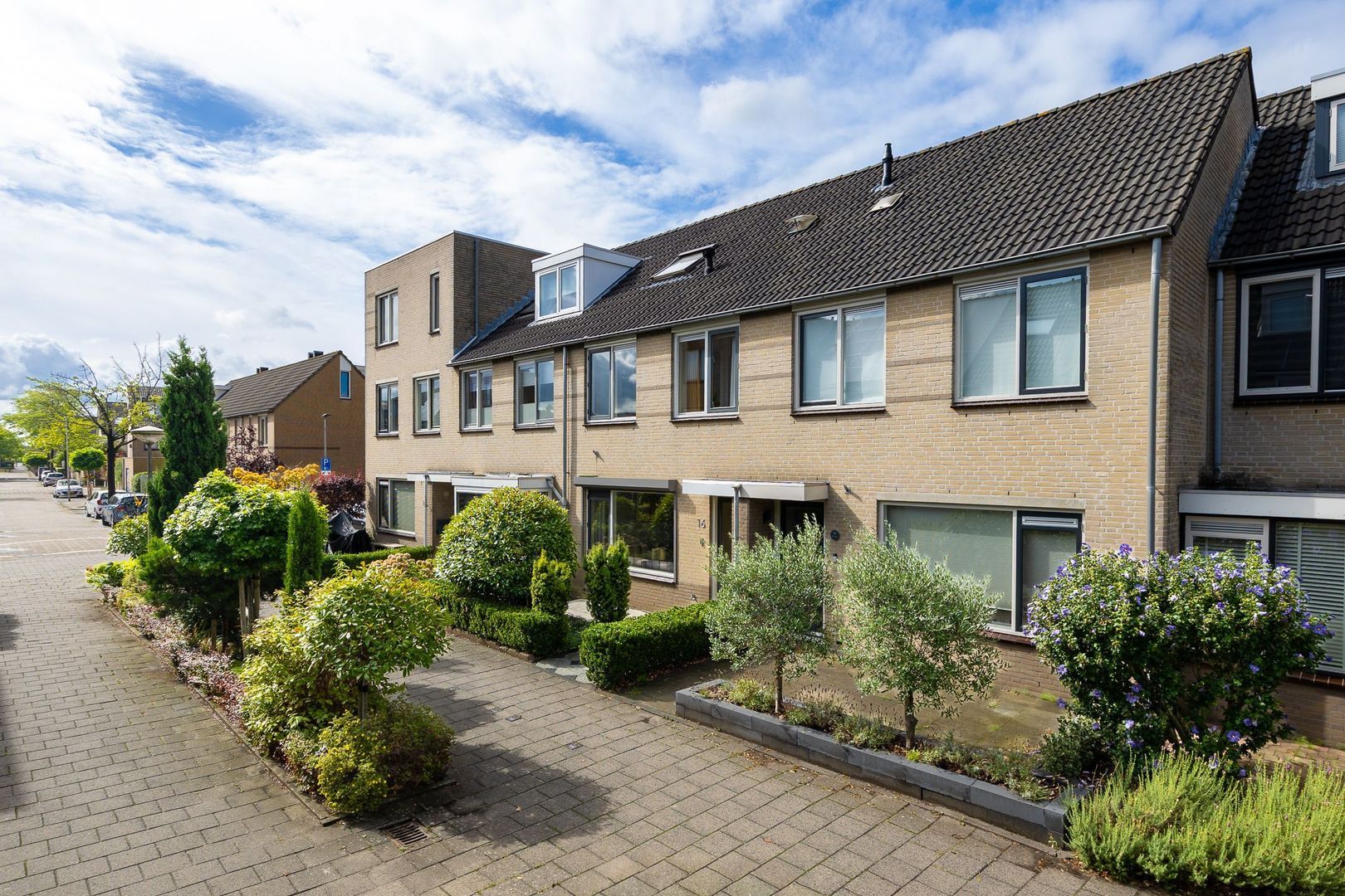 Oslopad 16, Alphen Aan Den Rijn foto-22 blur