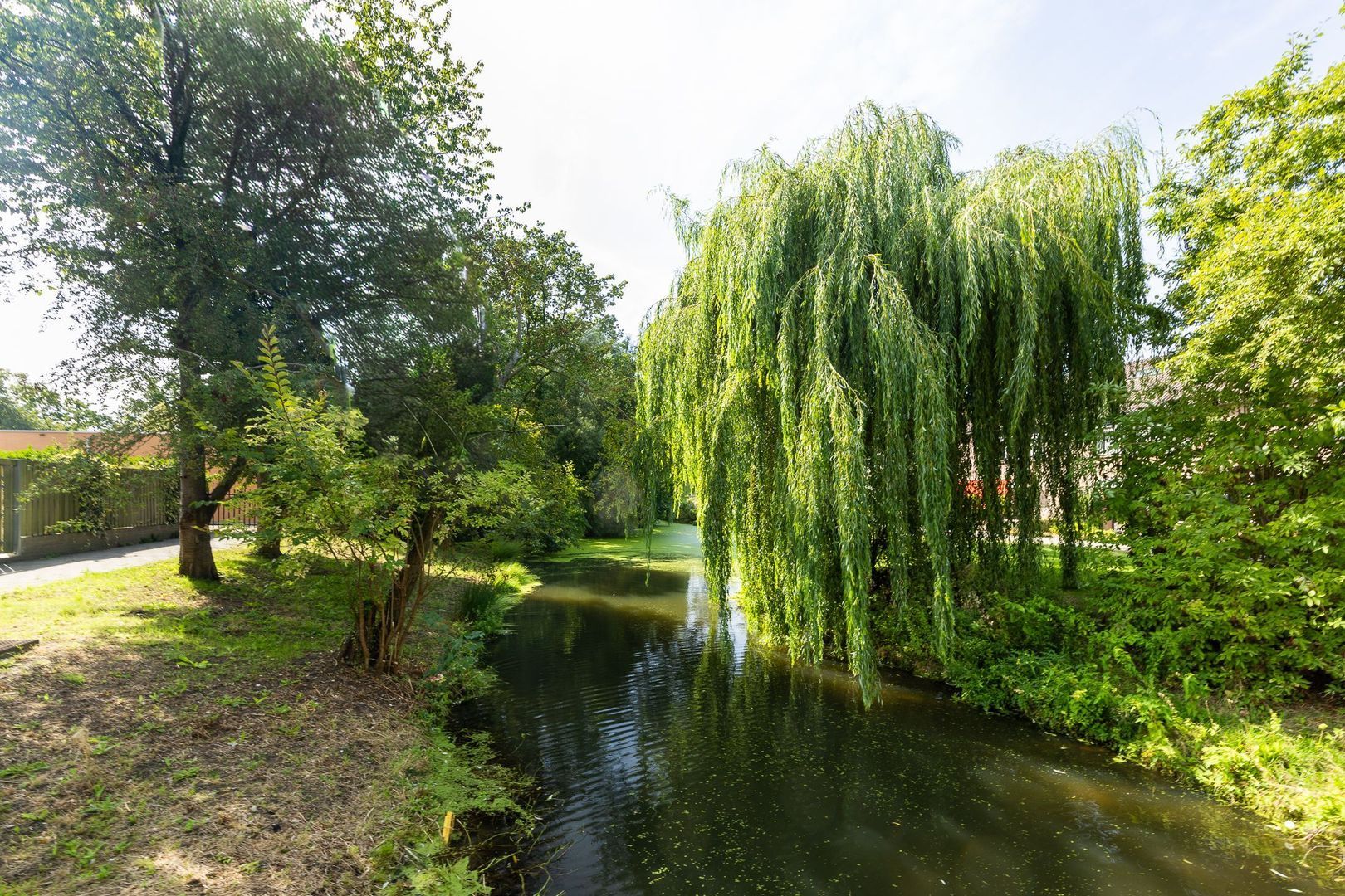 Groenoord 11, Alphen Aan Den Rijn foto-36 blur