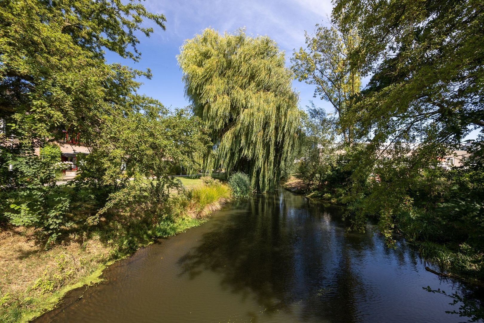 Groenoord 11, Alphen Aan Den Rijn foto-35 blur