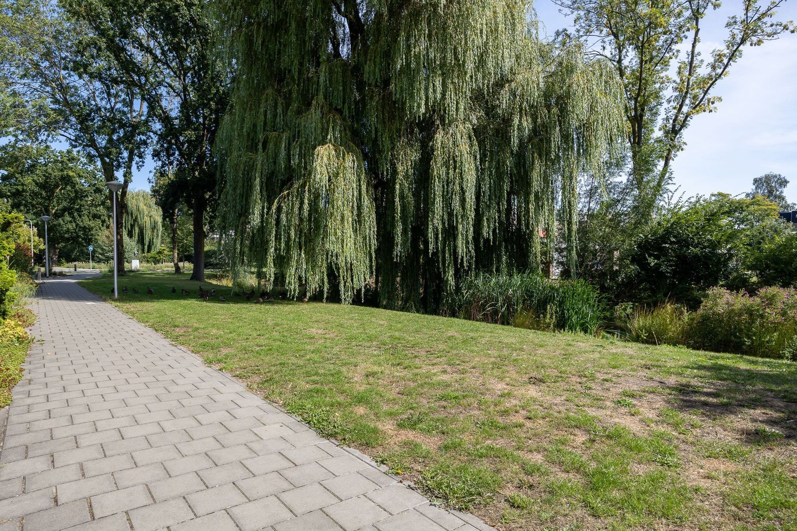 Groenoord 9, Alphen Aan Den Rijn foto-31 blur